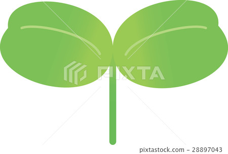 蓋子葉子 28897043