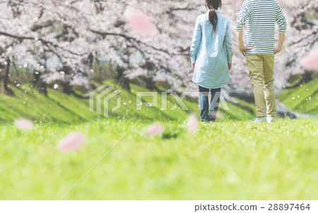 Spring image 28897464