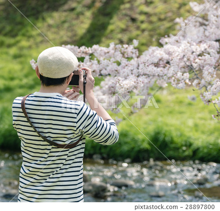 Spring image 28897800