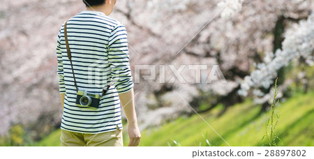 春天的形象 28897802