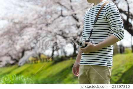 Spring image 28897810