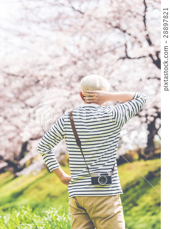 Spring image 28897821