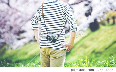 Spring image 28897822