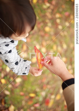 Baby (autumn leaves autumn fallen leaves fallen leaves dead leaves casual family family no face behind) Baby (autumn leaves autumn fallen leaves fallen leaves dead leaves casual family family no face behind) 28898083