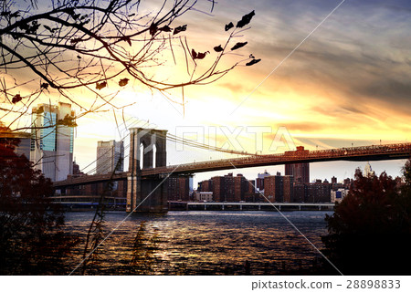 beautiful cityscape 28898833