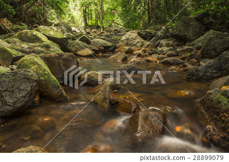 Natural Bridge Creek Natural Bridge Creek 28899079