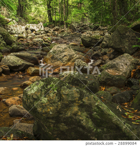 Natural Bridge Creek Natural Bridge Creek 28899084