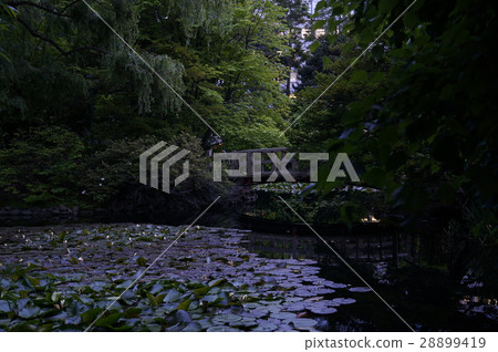 Japanese garden 28899419