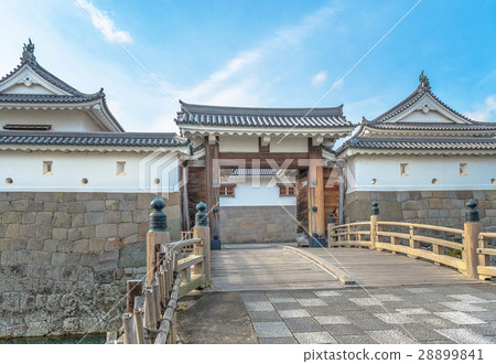 Sunpu城堡的風景 28899841