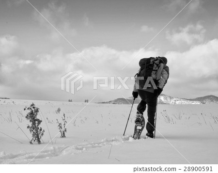 Snowshoeing in powder snow. Cloudy winter day 28900591