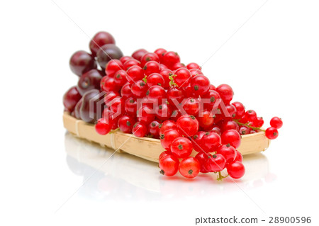 Ripe red currant berries and cherries in a basket  28900596