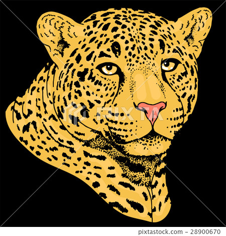 Leopard face tattoo ,Vector illustration, print Leopard face tattoo ,Vector illustration, print 28900670
