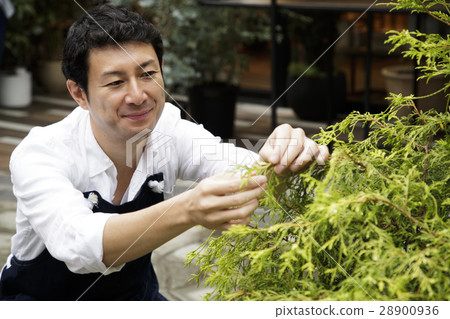 Florist gardening store horticulture gardening male shop clerk cooperation: TENOHA DAIKANYAMA 28900936