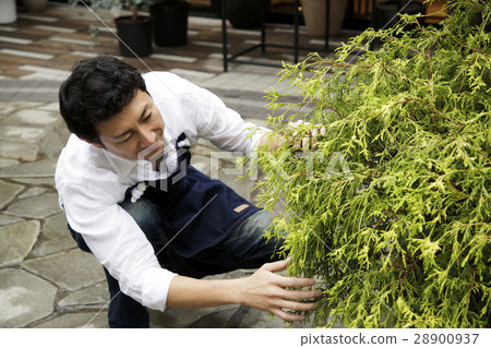 Florist gardening store horticulture gardening male shop clerk cooperation: TENOHA DAIKANYAMA 28900937