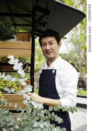 Florist gardening store horticulture gardening male shop clerk cooperation: TENOHA DAIKANYAMA 28900938