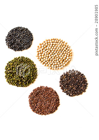 Nutrition seeds. black seeds,Green soy beans. Nutrition seeds. black seeds,Green soy beans. 28901985