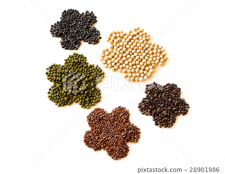 Nutrition seeds. black seeds,Green soy beans. Nutrition seeds. black seeds,Green soy beans. 28901986