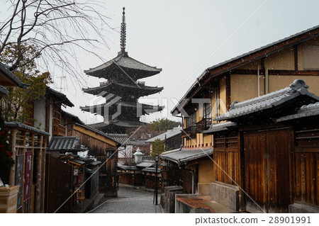 法觀寺 八坂塔 法觀寺 八坂塔 28901991