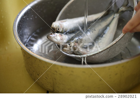 I wash the sardines 28902021