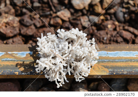 All objects in Baskunchak lake covered with salt All objects in Baskunchak lake covered with salt 28902170