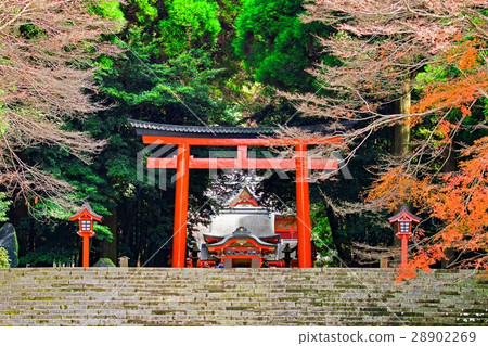 霧島神社鹿兒島日本 28902269