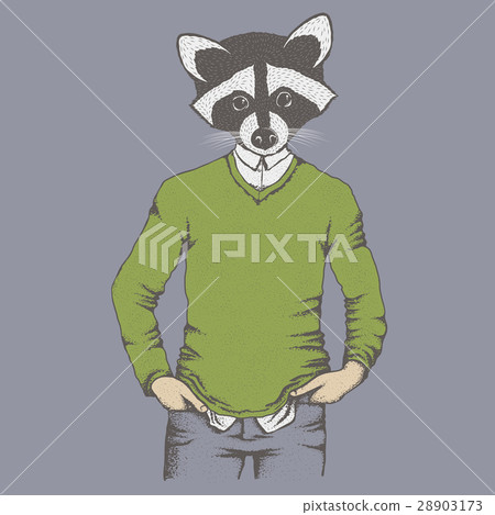 Raccoon vector illustration 28903173