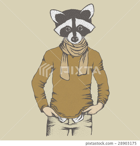 Raccoon vector illustration 28903175
