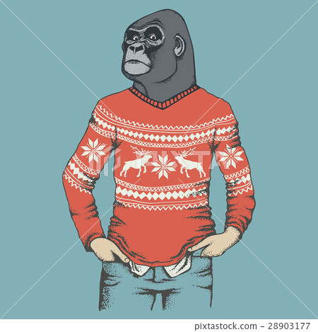 Monkey gorilla vector illustration 28903177