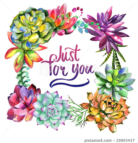 Wildflower succulentus flower frame in a Wildflower succulentus flower frame in a 28903437