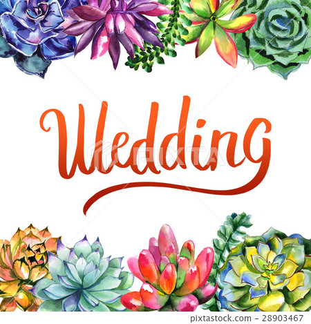 Wildflower succulentus flower frame in a Wildflower succulentus flower frame in a 28903467