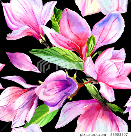Wildflower magnolia flower pattern in a watercolor Wildflower magnolia flower pattern in a watercolor 28903597