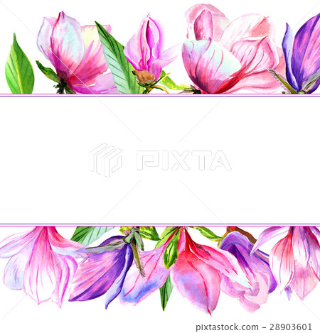Wildflower magnolia flower frame in a watercolor Wildflower magnolia flower frame in a watercolor 28903601