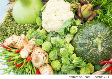 Bitter gourd, pumpkin, galangal herbs Thailand Bitter gourd, pumpkin, galangal herbs Thailand 28903721