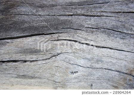 texture of bark wood use as natural background texture of bark wood use as natural background 28904264