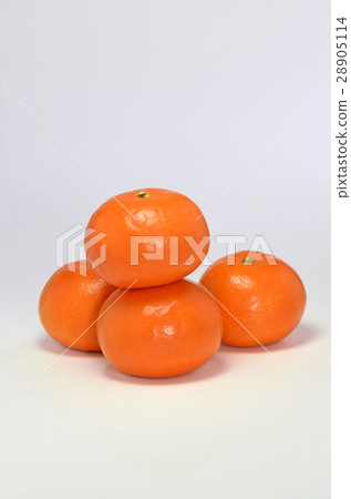 Mandarin orange (Hamasaki) 28905114
