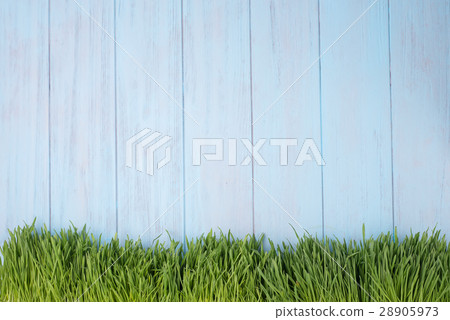 Green grass over wood background. Green grass over wood background. 28905973