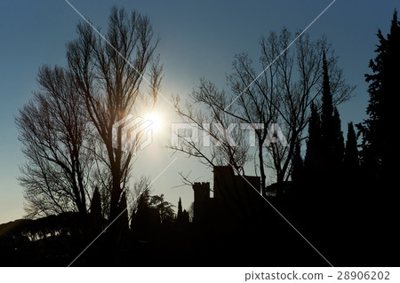 France France 28906202