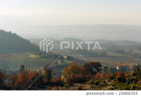France 28906203