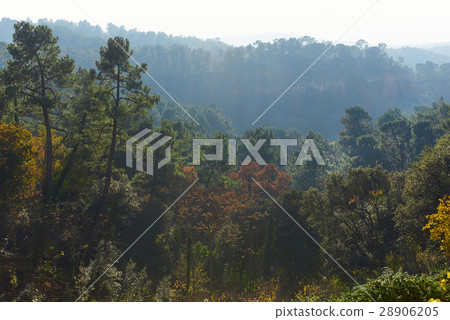 Autumn in Roussillon. Autumn in Roussillon. 28906205