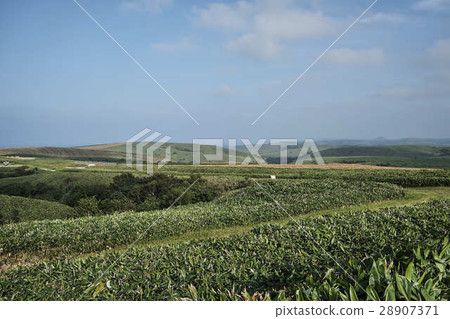 Soya Hills Mongolia 28907371