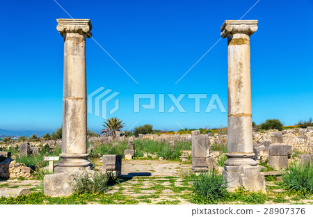 Ruins of Volubilis, a Berber and Roman city in Ruins of Volubilis, a Berber and Roman city in 28907376
