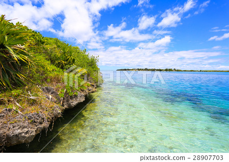 coral island coral island 28907703