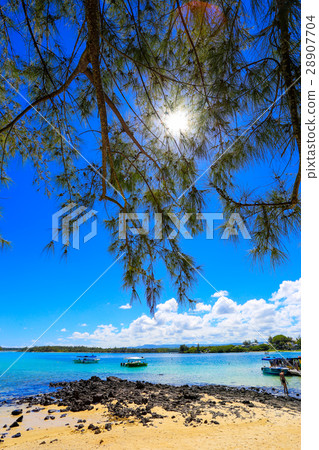 blue sky beach blue sky beach 28907704