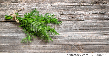 Bundle dill Green herb Food ingredient Bundle dill Green herb Food ingredient 28908736