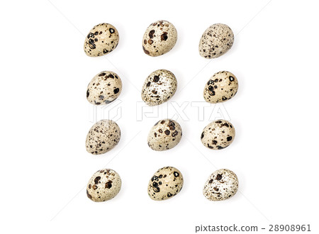Quail eggs easter decoration Minimal flat lay 28908961
