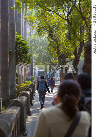 Office worker, morning, sunshine, Office worker, morning, sunlight, Office worker, morning, sunshine, Office worker, morning, sunlight, 28910133