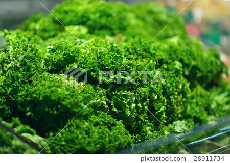 Fresh Green salad leaves background in market 28911734