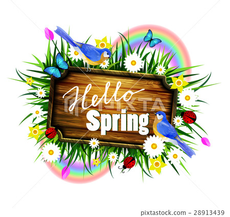 wooden board on a llawn wooden board on a llawn 28913439