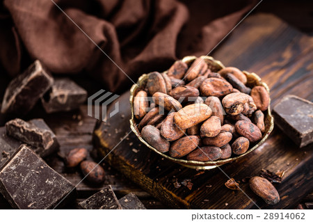 Cocoa beans and chocolate on wooden background 28914062