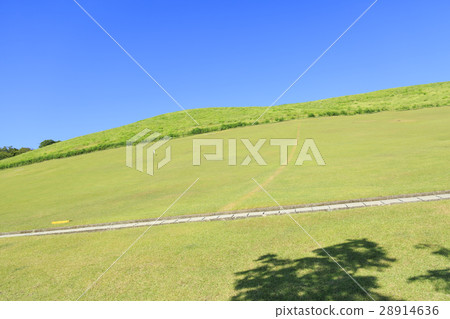 Wakakusayama奈良縣 Wakakusayama奈良縣 28914636